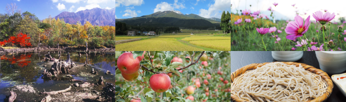 Harvesting the fruits of the earth